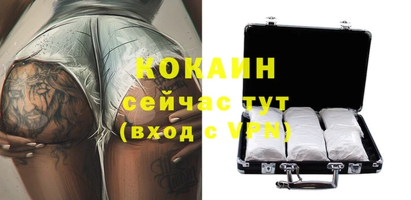 mix Богородицк