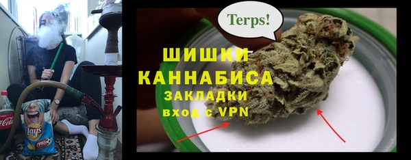 прущие грибы Богородск