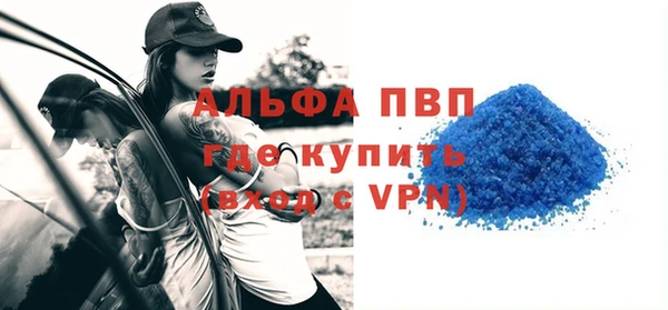прущие грибы Богородск