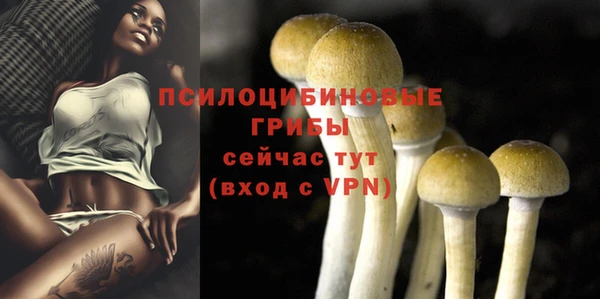 mix Богородицк