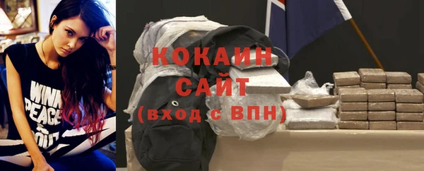 прущие грибы Богородск