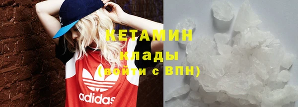 прущие грибы Богородск