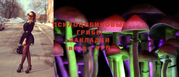 прущие грибы Богородск