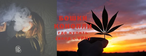 винт Нягань