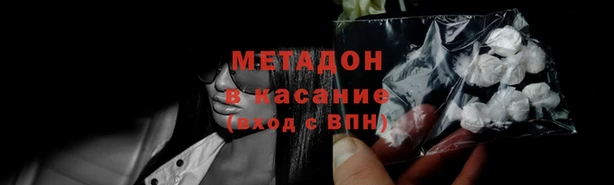прущие грибы Богородск