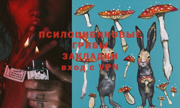 mix Богородицк