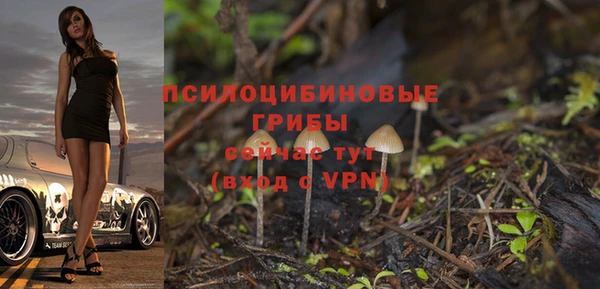 mix Богородицк