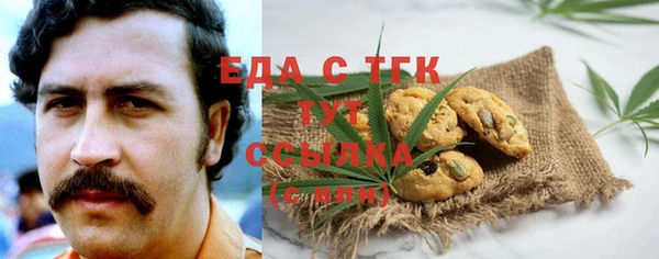 mix Богородицк