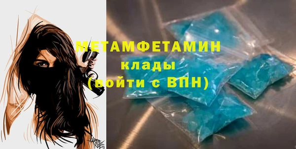 прущие грибы Богородск